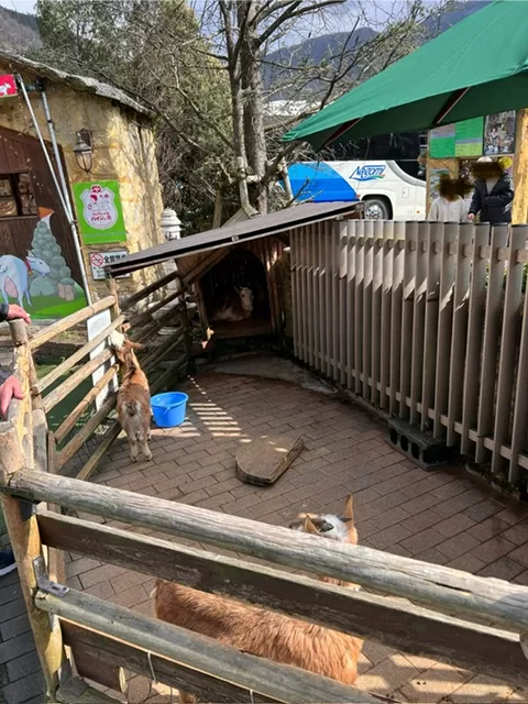 花卉村