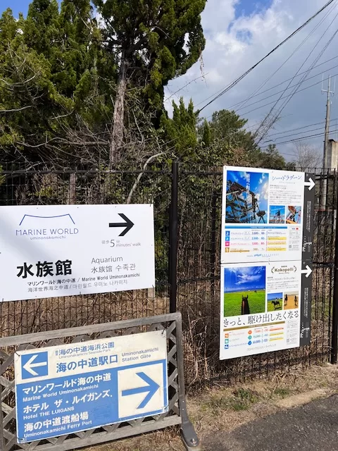 海中之道