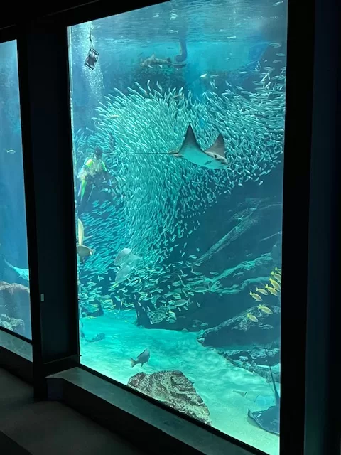 海中之道