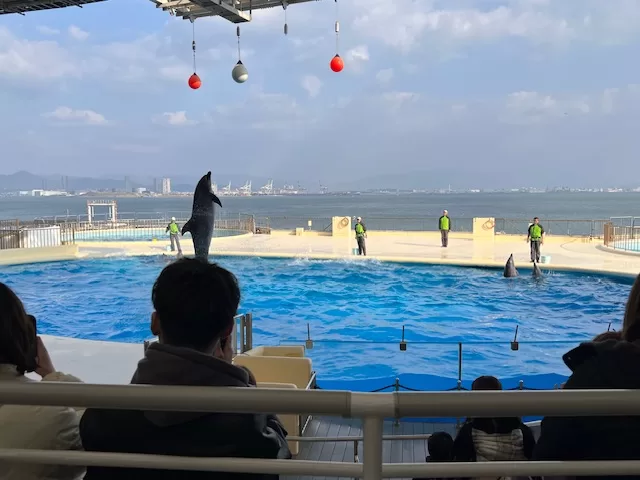 海中之道