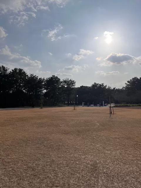 海濱公園