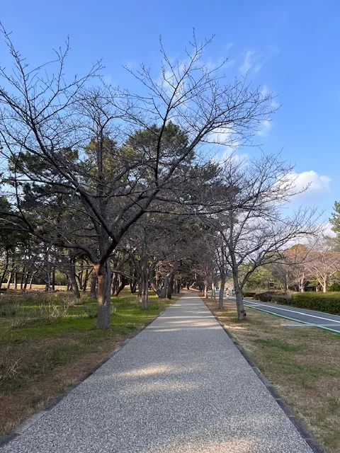 海濱公園