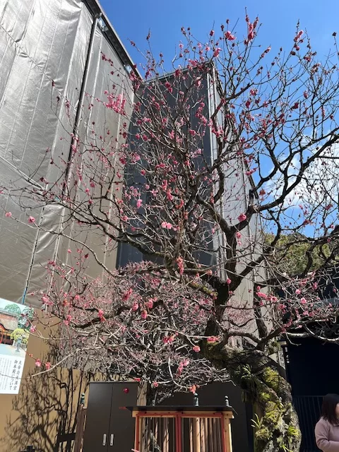 太宰府