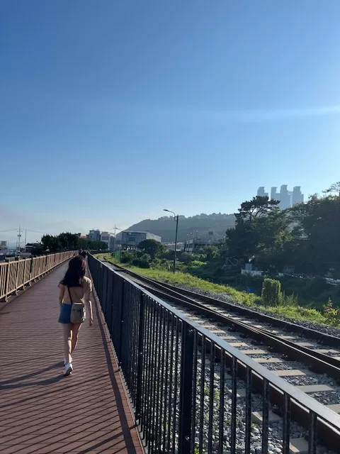 青沙浦