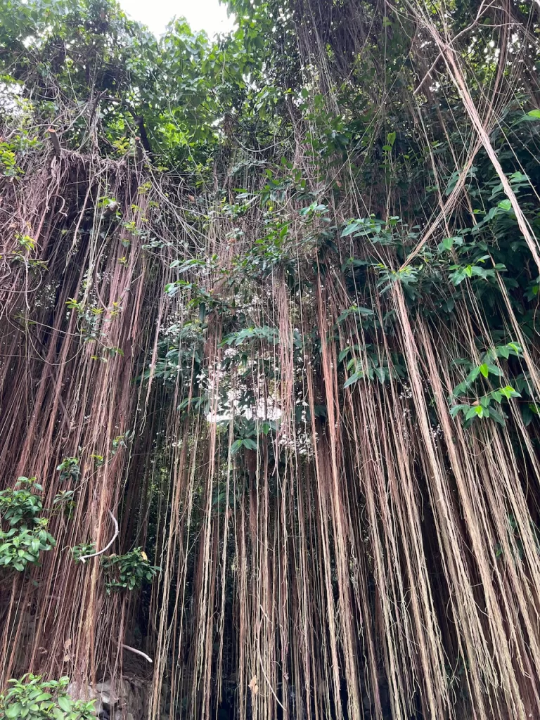 北投