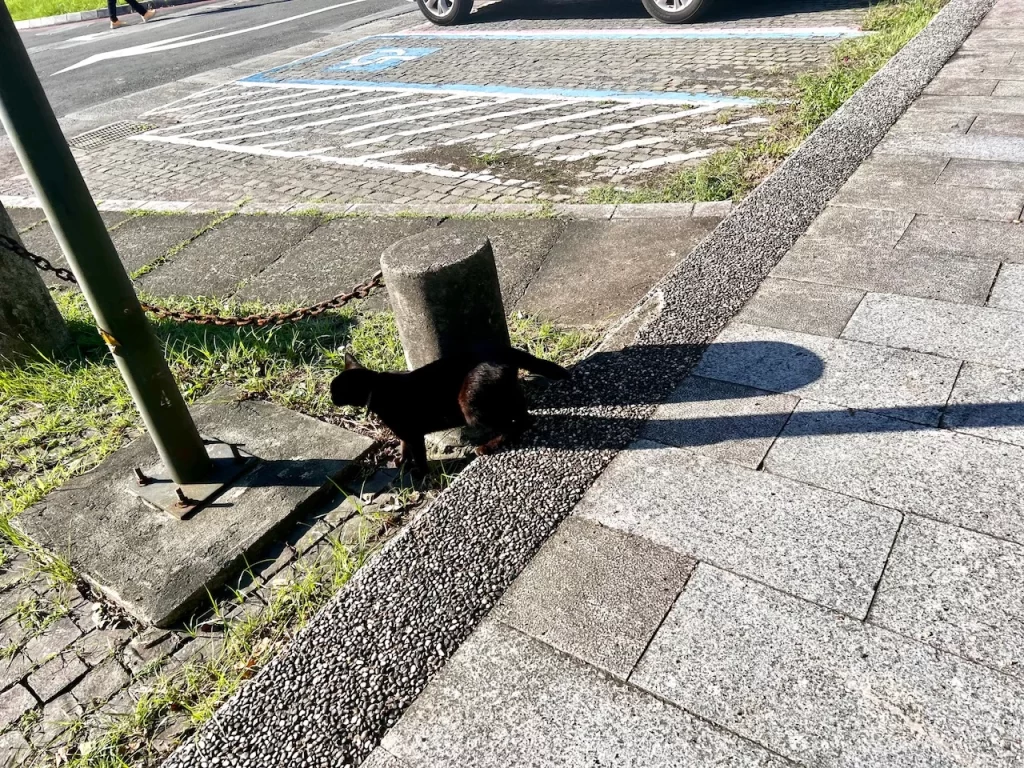 猴硐貓村