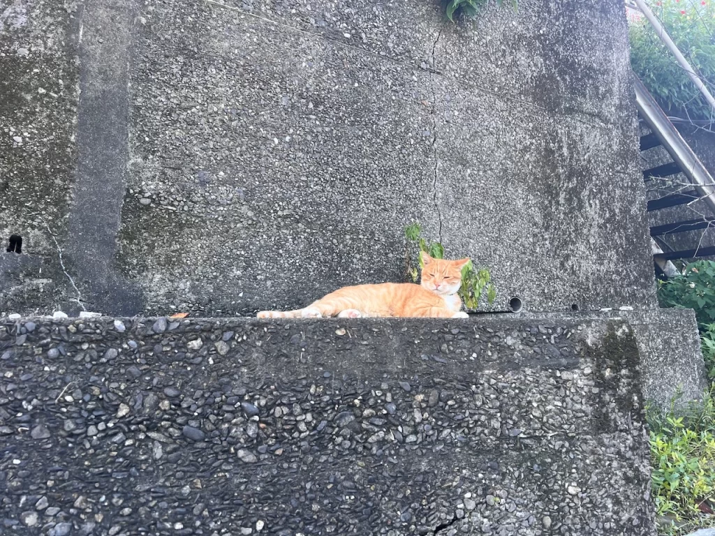 猴硐貓村